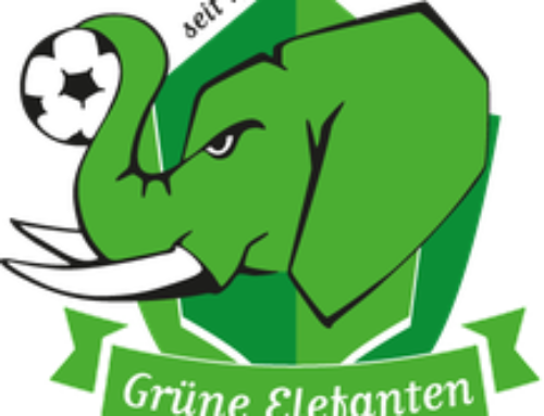 Rückspiel Freundschaftsspiel Kappel vs. Grüne Elefanten